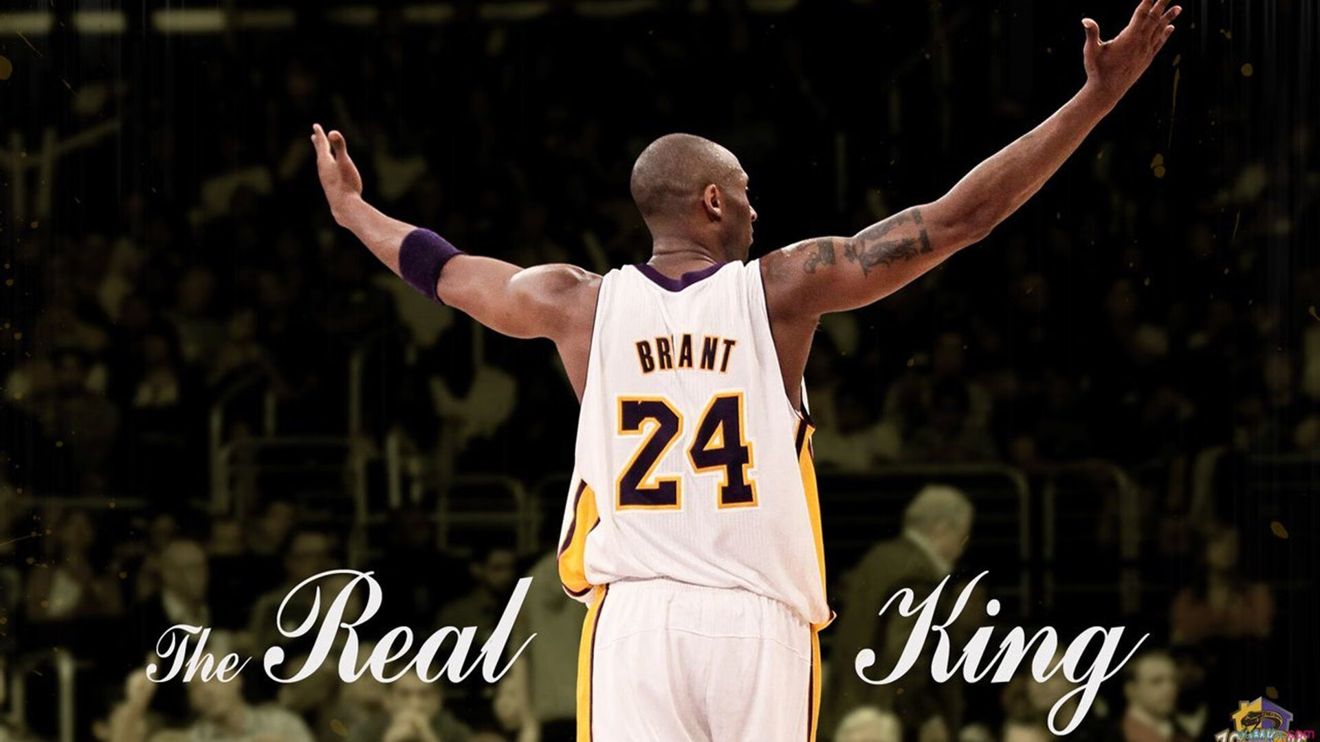 KPL鸟巢舞美泄漏网友惊呆：这不是电竞这是奥运开幕式！，鸟巢跳舞视频完整版