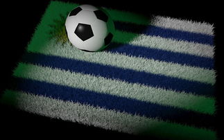 mk体育平台网页版入口-国足主帅研究新阵型适应对手，国足对手主帅辞职